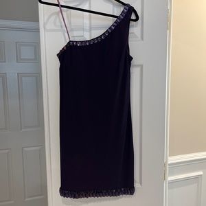 new BASIX black label purple dress size 10